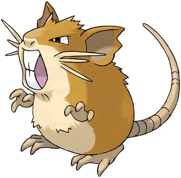 Raticate (Pokémon)/Generation I learnset .